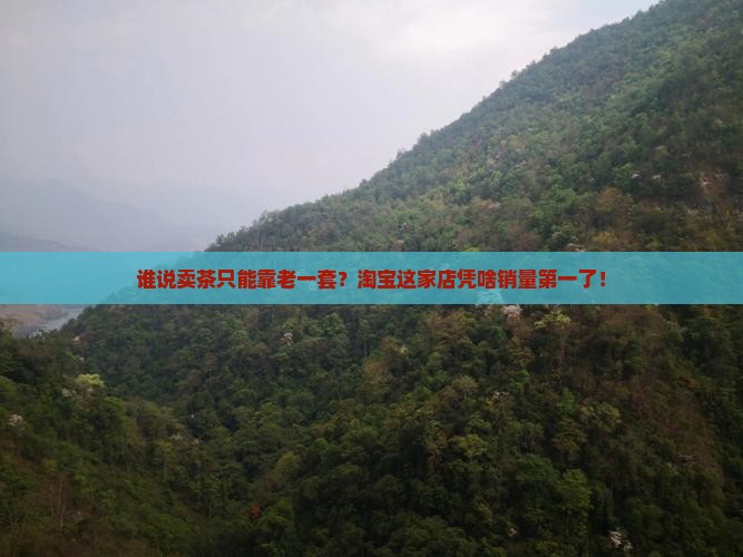 淘宝普洱茶销量第一