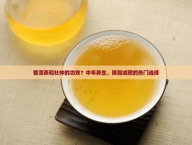普洱茶和杜仲的功效