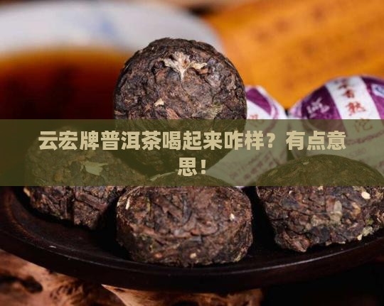 云宏牌普洱茶怎么样
