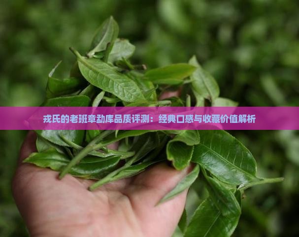 戎氏的老班章怎么样