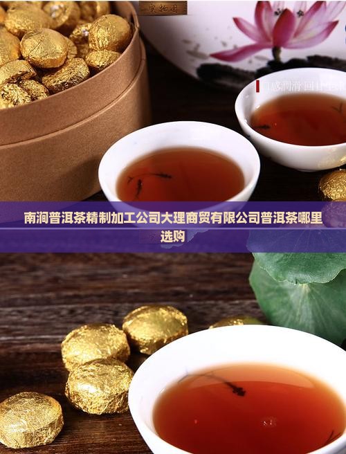 俊仲号普洱茶大理店在哪里