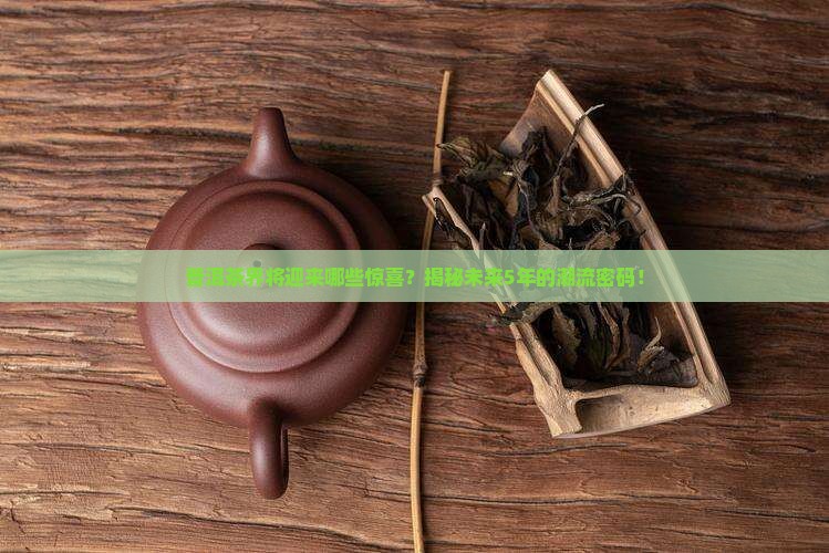 普洱茶未来5年的风向