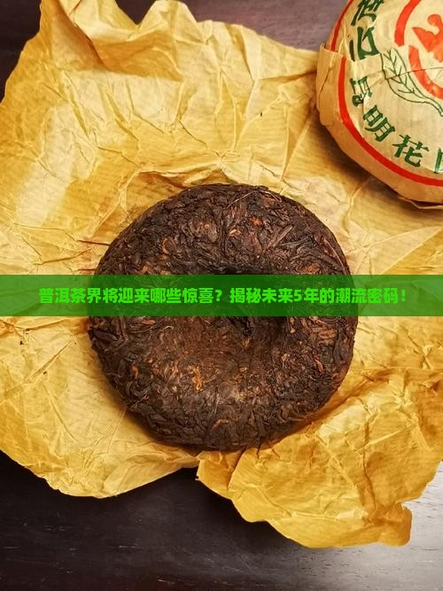 普洱茶未来5年的风向
