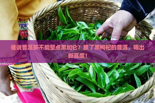 普洱茶里放黑枸杞