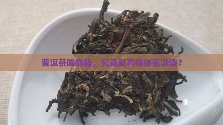 普洱茶什么样味道的降血脂