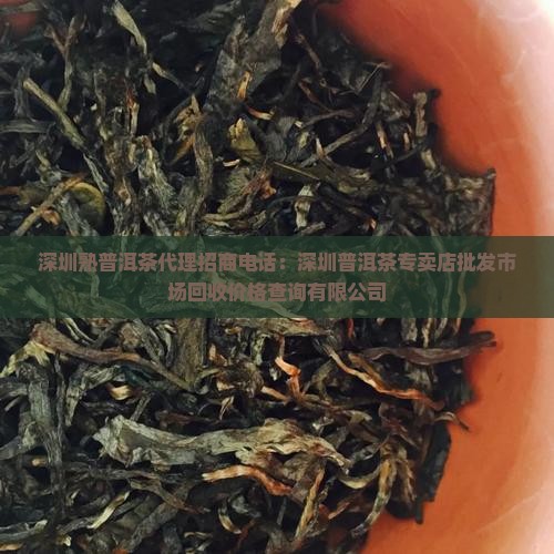 深圳熟普洱茶代理招商电话