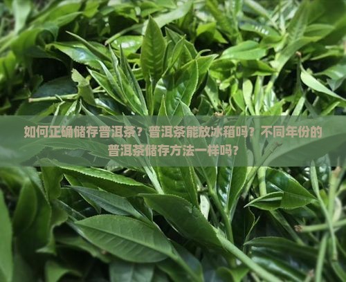 普洱茶怎么储存保鲜
