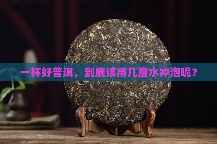 普洱茶适合什么水温