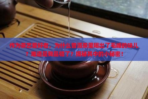 普洱茶有毛峰味道吗为什么