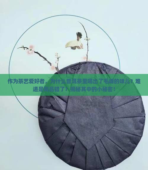 普洱茶有毛峰味道吗为什么