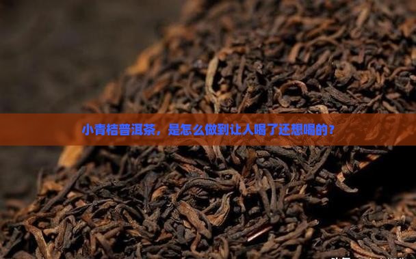 口碑好的小青桔普洱茶