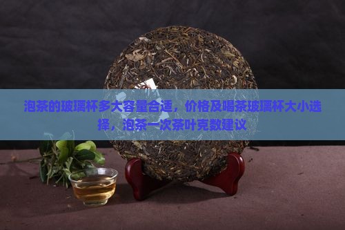 泡茶的玻璃杯多大容量合适