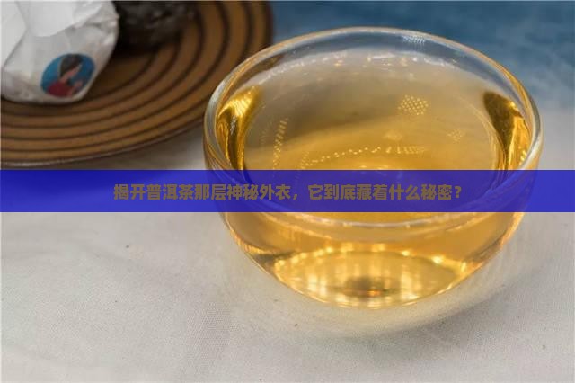 普洱茶外面的壳是什么