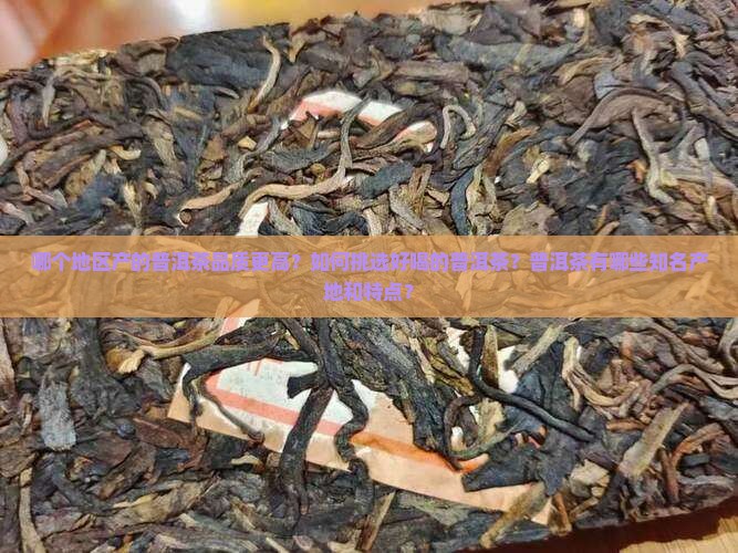 哪儿的普洱茶比较好喝