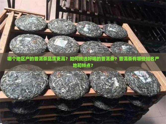 哪儿的普洱茶比较好喝