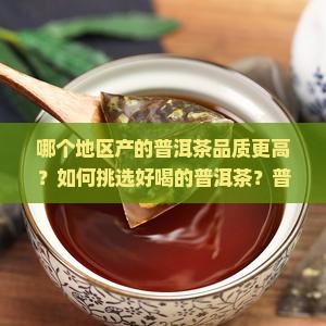 哪儿的普洱茶比较好喝