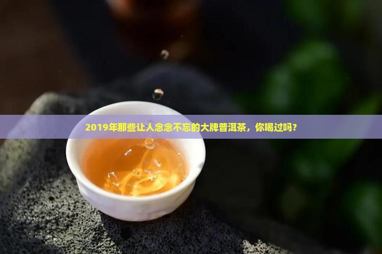 2019大牌普洱茶