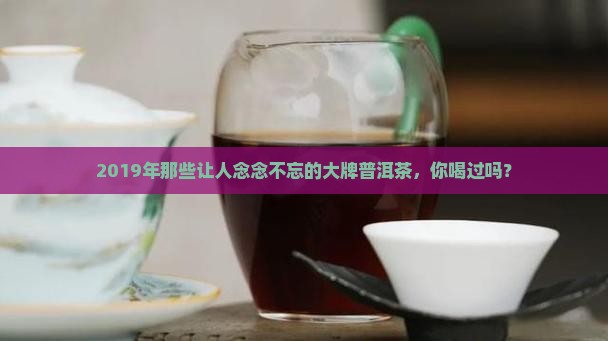 2019大牌普洱茶