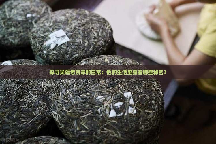 吴疆老班章的生活