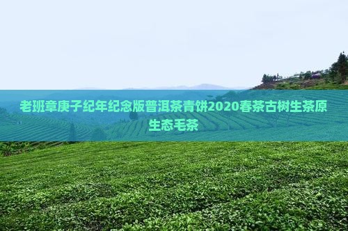 老班章庚子纪年纪念版