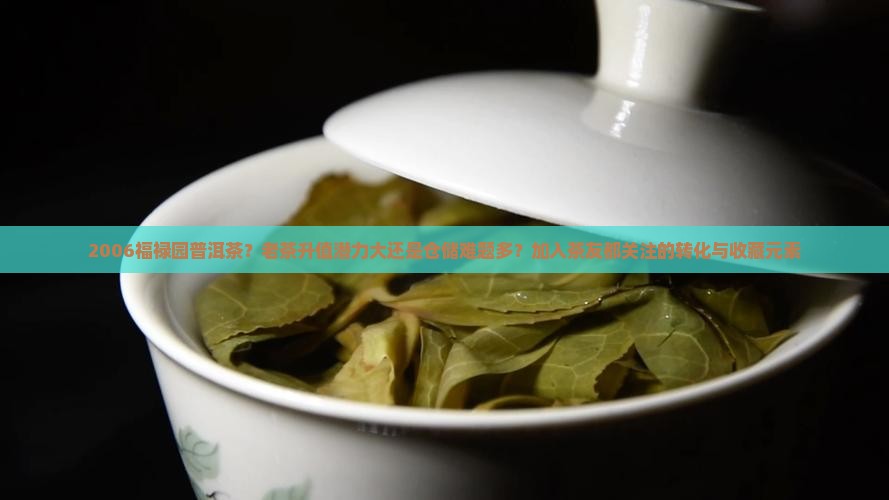 2006福禄园普洱茶 2006福禄园普洱茶