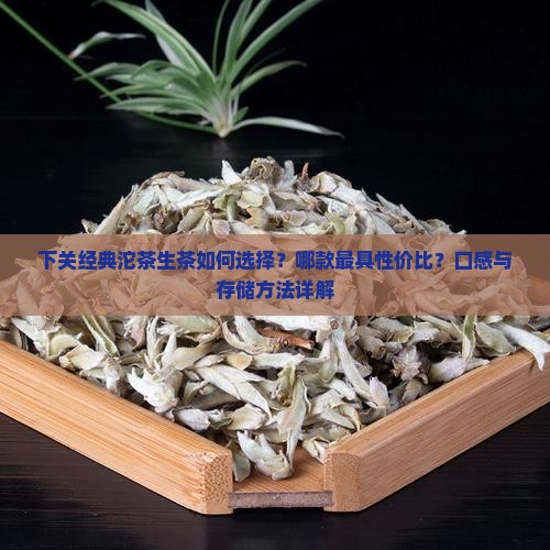 下关经典沱茶生茶推荐
