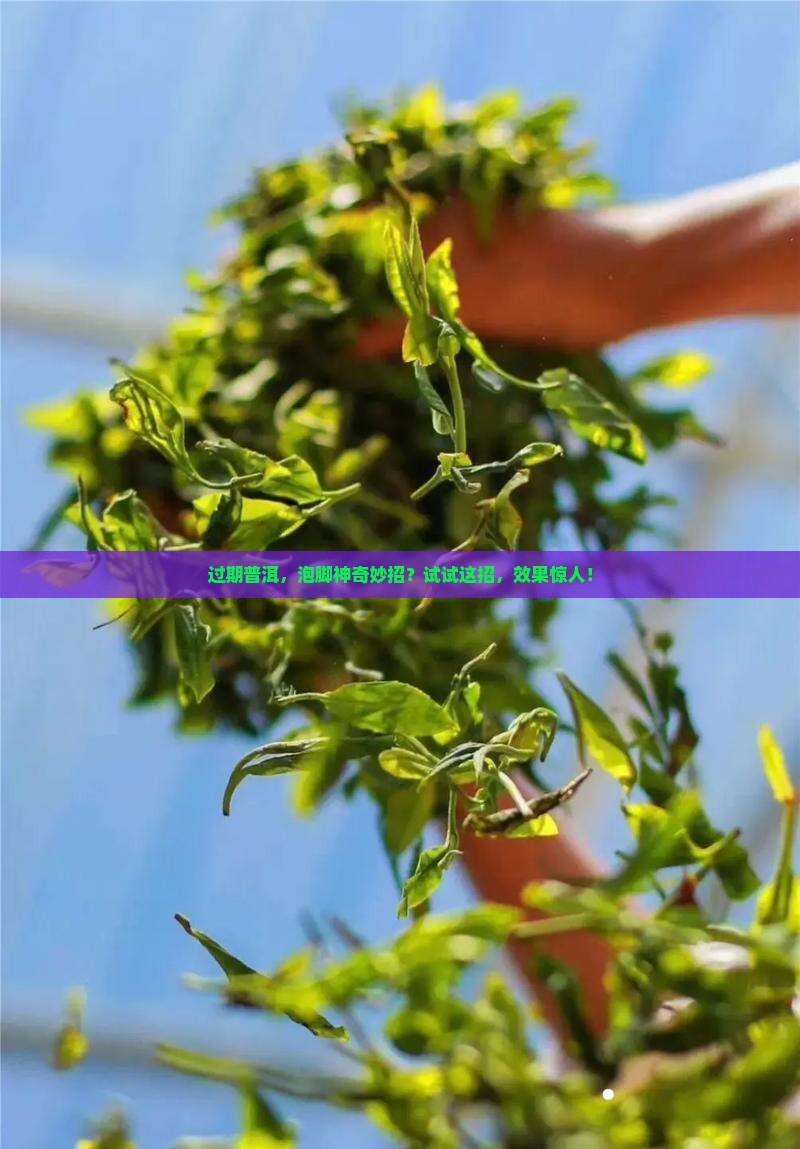 过期的普洱茶可以泡脚吗