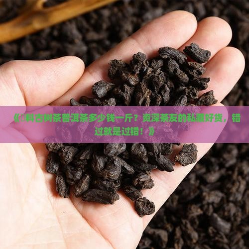 伅料古树茶普洱茶多少钱一斤