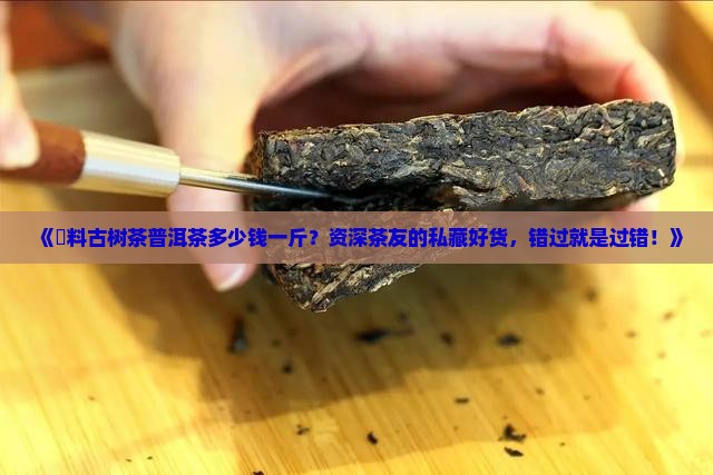 伅料古树茶普洱茶多少钱一斤