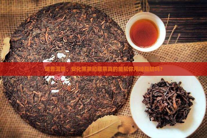 普洱茶安化黑茶和藏茶消脂