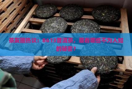 下关普洱茶的唛号8613