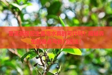 普洱茶与生姜一起泡水可以吗
