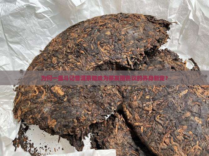 一盏斗记普洱茶