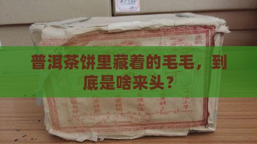 普洱茶饼里的毛毛是什么