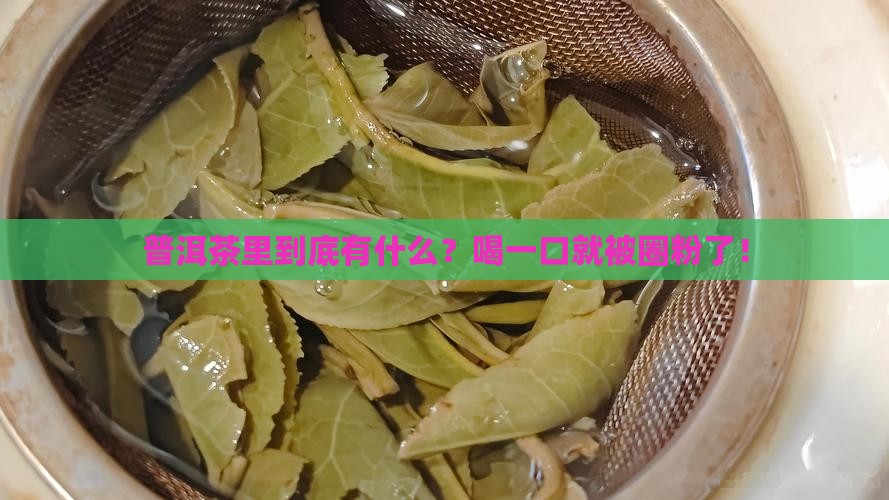 普洱茶组成成分分析