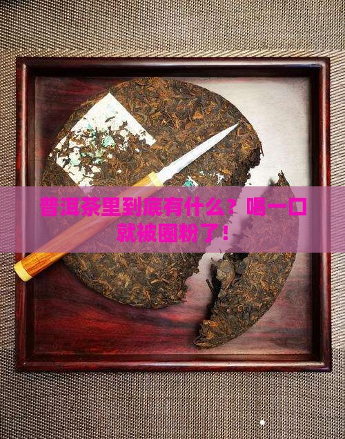 普洱茶组成成分分析