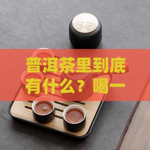 普洱茶组成成分分析