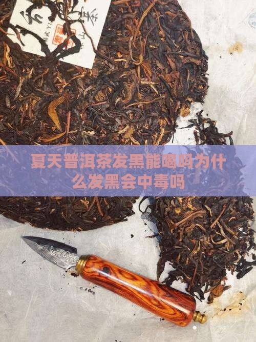 夏天普洱茶发黑能喝吗为什么
