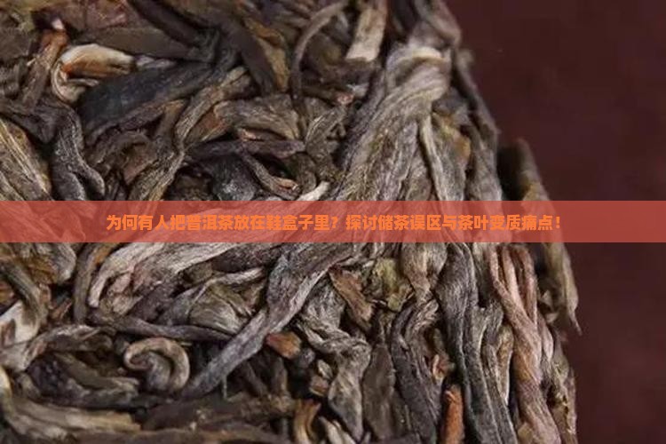 普洱茶放鞋盒子里
