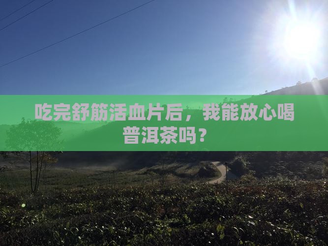 吃舒筋活血片能喝普洱茶吗
