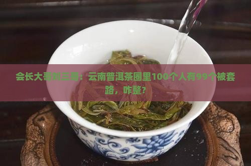 云南普洱茶刘会长