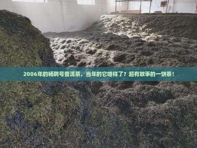 2006年杨聘号普洱茶