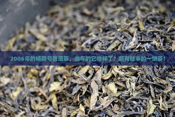 2006年杨聘号普洱茶