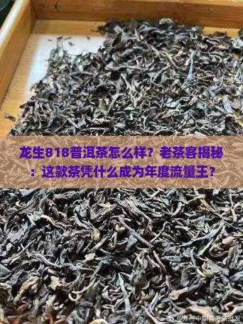 龙生818普洱茶怎么样 龙生818普洱茶怎么样
