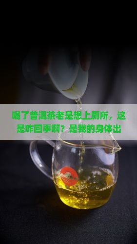 喝了普洱茶一直想尿