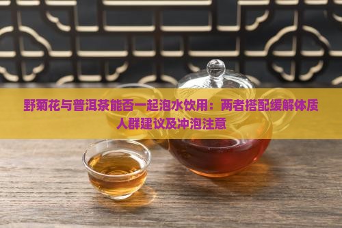 野菊花和普洱茶能一起喝吗