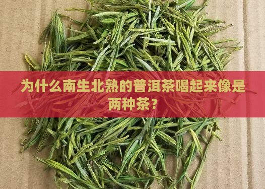 深入了解普洱茶南生北熟的区别