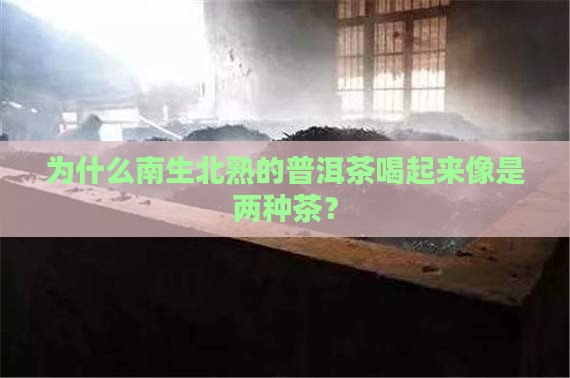 深入了解普洱茶南生北熟的区别