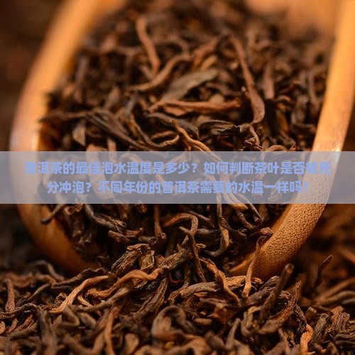 普洱茶的最佳泡水温度是多少