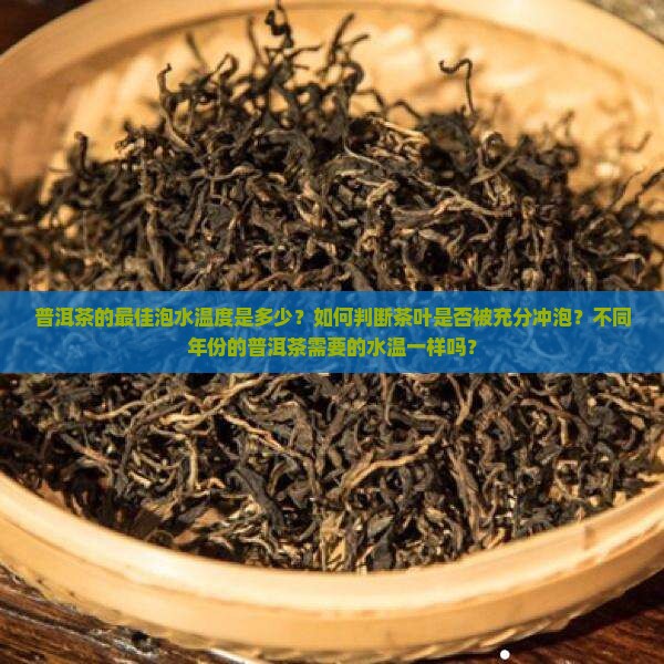 普洱茶的最佳泡水温度是多少